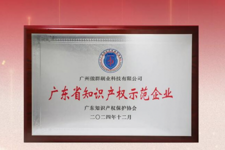 科技強企，刷新無限|傲群刷業榮獲省知識產權示范企業